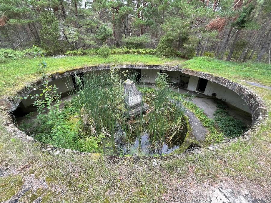 Nazi naval gun emplacements in the hunting ground