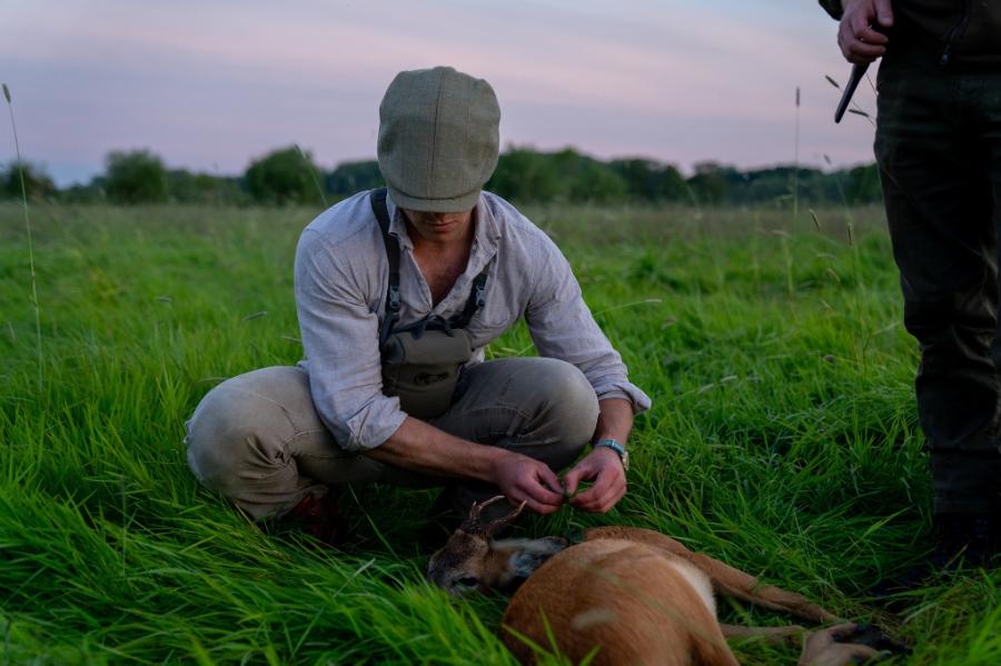 English Roe Buck Stalking