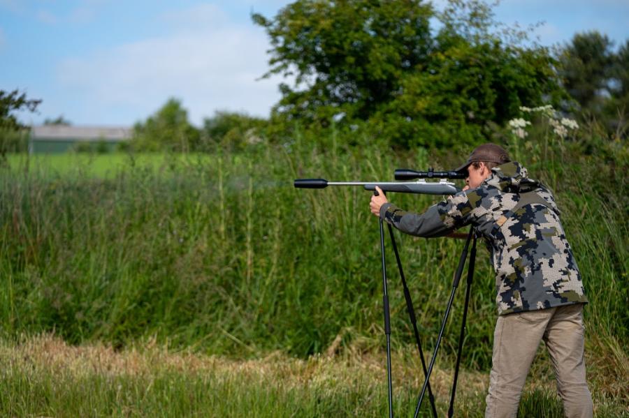 English Roe Buck Stalking